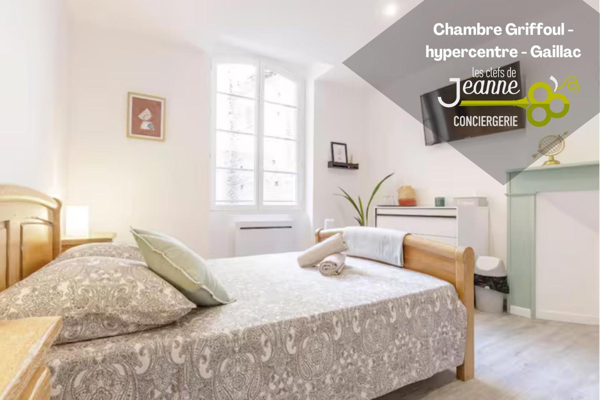 Chambre Griffoul - Hypercentre - Gaillac Εξωτερικό φωτογραφία